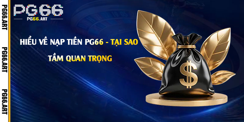 Hiểu Về Nạp Tiền PG66 - Tại Sao Cần Thiết Và Tầm Quan Trọng