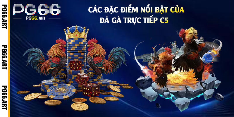 Các-Đặc-Điểm-Nổi-Bật-của-Đá-Gà-Trực-Tiếp-C5