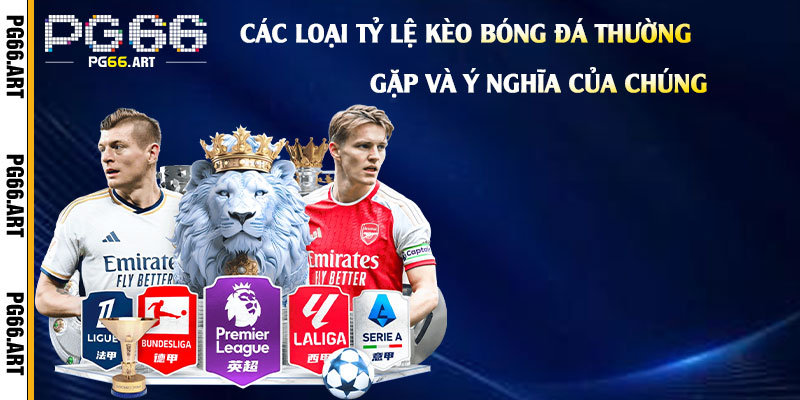 Các Loại Tỷ Lệ Kèo Bóng Đá Thường Gặp Và Ý Nghĩa Của Chúng