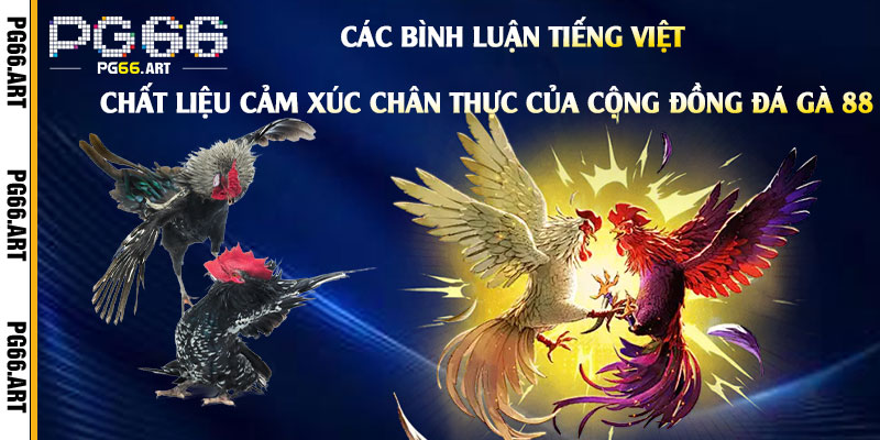 Các bình luận tiếng Việt – Chất liệu cảm xúc chân thực của cộng đồng Đá Gà 88