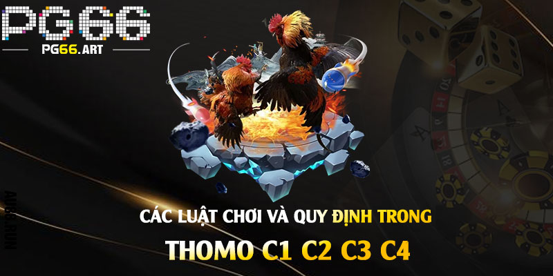 Các luật chơi và quy định trong đá gà Thomo C1 C2 C3 C4