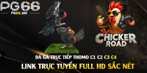 Đá-Gà-Trực-Tiếp-Thomo-C1-C2-C3-C4---Link-Trực-Tuyến-Full-Hd-Sắc-Nét