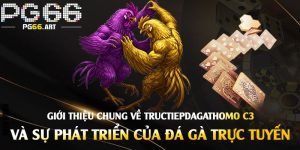 Giới-thiệu-chung-về-Tructiepdagathomo-C3-và-sự-phát-triển-của-đá-gà-trực-tuyến
