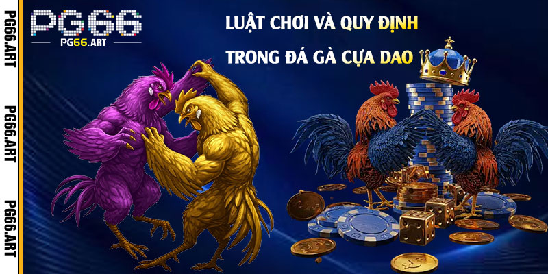 Luật chơi và quy định trong đá gà cựa dao