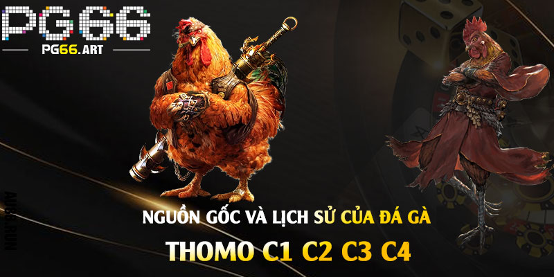 Nguồn gốc và lịch sử của Đá Gà Trực Tiếp Thomo C1 C2 C3 C4
