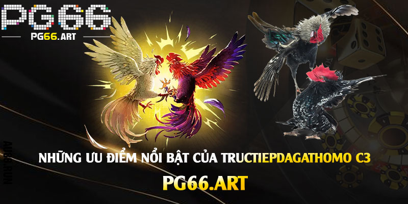 Các loại hình trò chơi phổ biến trên Tructiepdagathomo C3 và cách tham gia hiệu quả